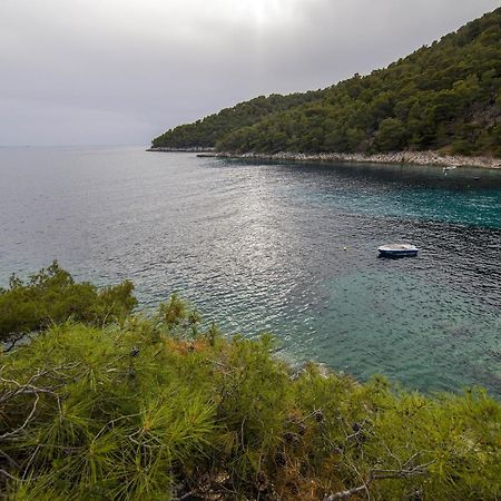 Secluded Fisherman'S Cottage Cove Skozanje, Hvar - 4009 Gdinj Exterior foto