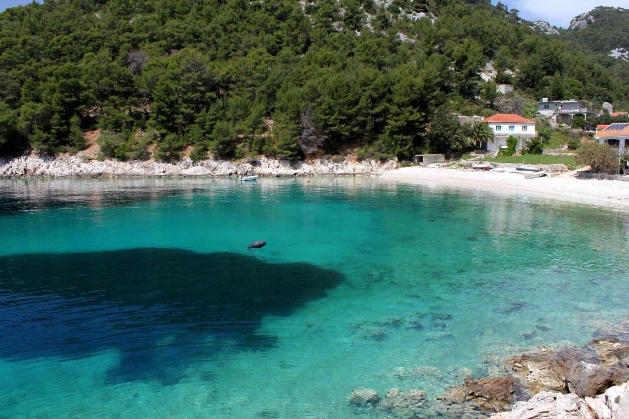 Secluded Fisherman'S Cottage Cove Skozanje, Hvar - 4009 Gdinj Exterior foto